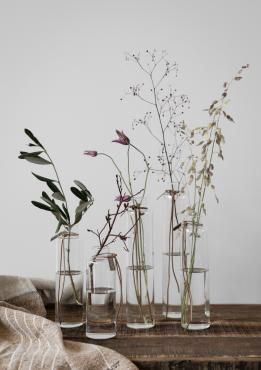 Vase D5 H25 cm